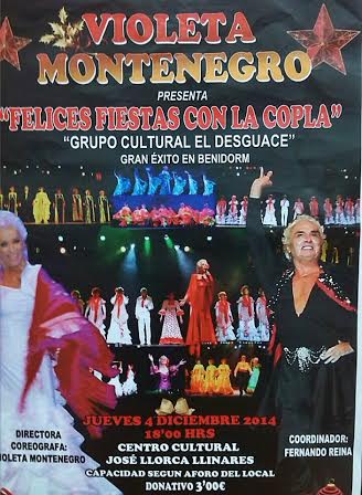 LA TORRETA-CARTEL DESGUACE