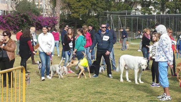 ALFAS-FESTIVAL CANINO 19-2