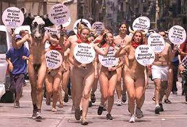 antitaurinas desnudas