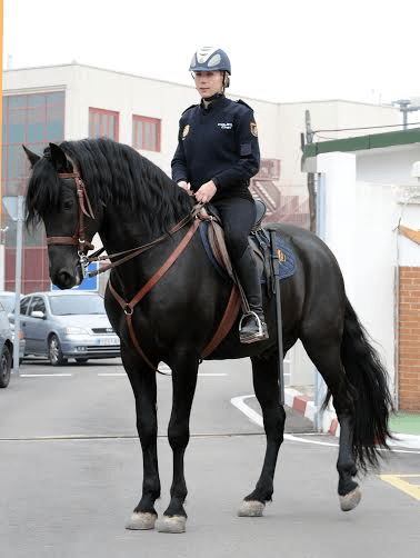 Día Internacional de la&nbsp;Mujer.-