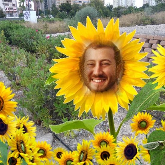 BIGORRA-MARGARITA-1-16