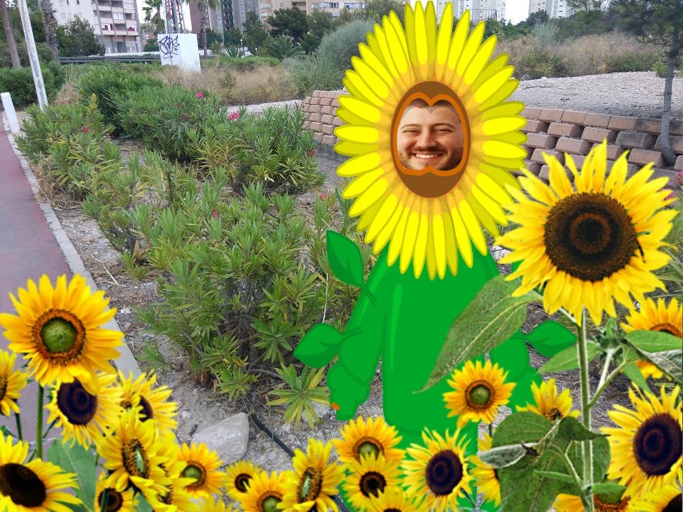 Benidorm.- EL REGIDOR DE COMPROMIS PER LA DATA DE LA PROPERA REUNIÓ DEL PATRONAT DE LA FUNDACIÓ DE&nbsp;TURISME