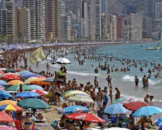 ELEGIDO POR LOS INGLESES