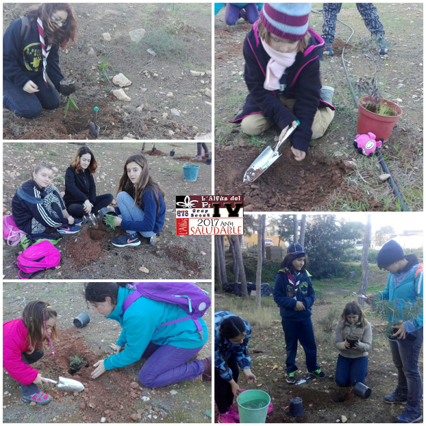 El Gobierno Provincial impulsa ayudas en materia de deportes que superan el millón y medio de&nbsp;euros