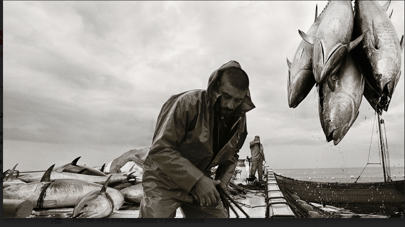 L’ALFAS.- FUNDACIÓN FRAX-AMPLIA EXPOSICIÓN HASTA EL&nbsp;27