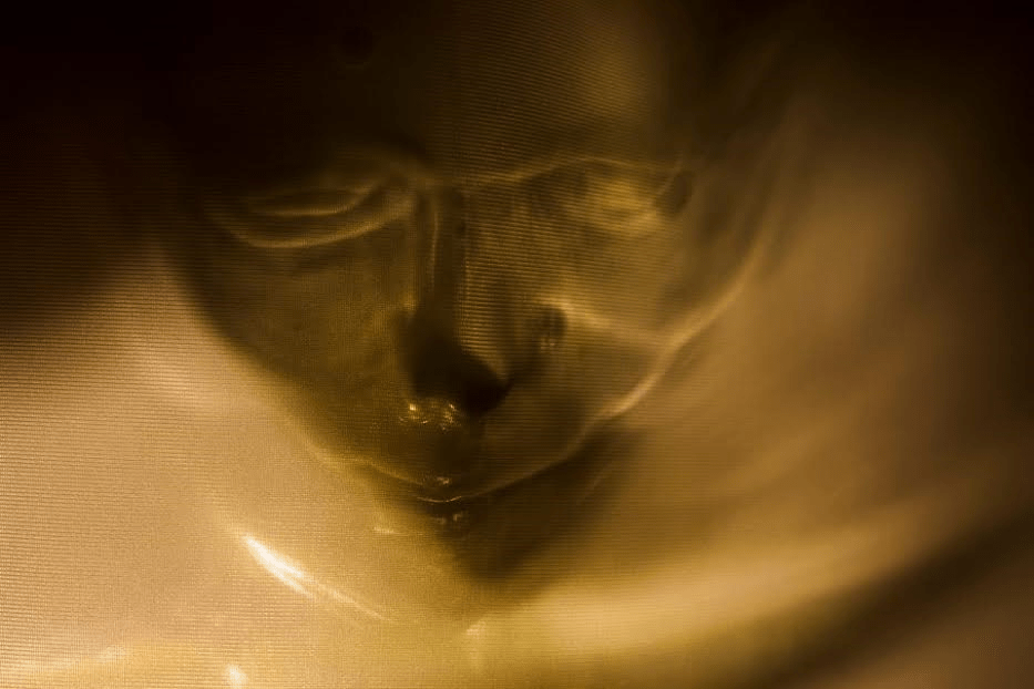 L’ALFAS.-. VAELLO CUELGA EN LA FUNDACIÓN&nbsp;FRAX