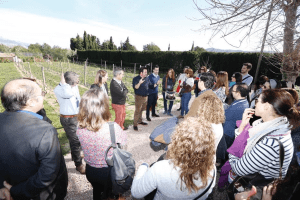 alfas-perioditas-4-14