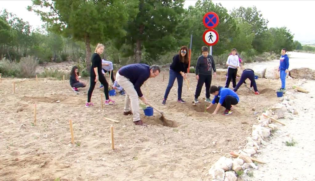 Benidorm.- DIA DEL&nbsp;ARBOL