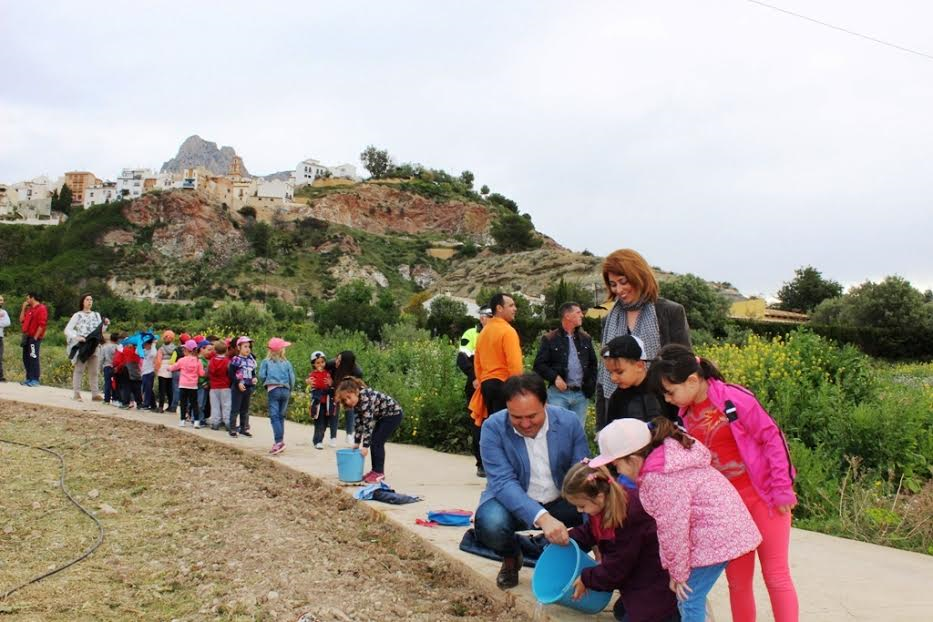 FINESTRAT.- REFORESTACIÓN PUIG&nbsp;CAMPANA
