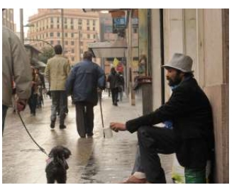 Benidorm. 40.000 EUROS PARA LOS&nbsp;ANIMALES