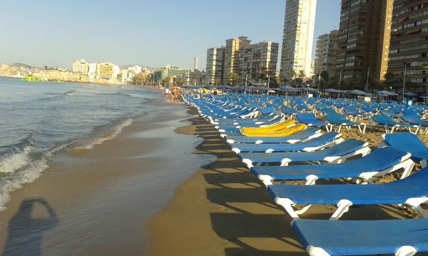 Benidorm.- «RABENIDORM» CONSOLIDA SU CHOLLO EN EL SERVICIO DE&nbsp;HAMACAS