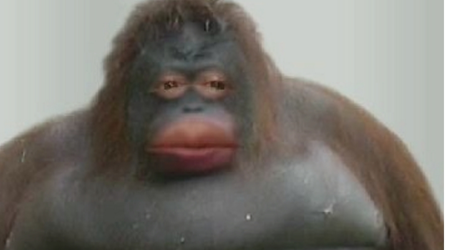 EL HUMOR QUE NO&nbsp;FALTE