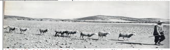 BOLETIN INFORMATIVO CULTURAL ENERO 2021 Nº 3 CASA DE CASTILLA LA-MANCHA EN MADRID